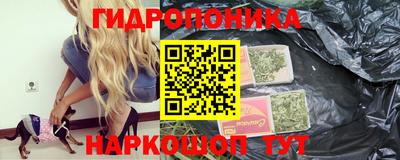 Альфа ПВП Новокубанск
