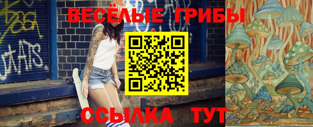 Сыктывкар  Псилоцибиновые грибы ЛСД  закладки  Вход с VPN 